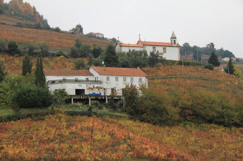 Investment Property_for_sale_in_Lamego_SMA7695